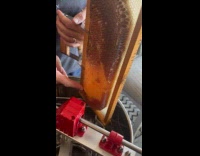 Man shows marbled spring and fall honey