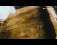 Guy sketchy ice skating do different stuff