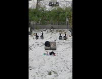 Woman green wig lie down snow rooftop