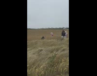 Girl red shoulder bag windy grass field