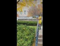 Woman yellow dress paint canvass park trees