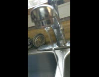 Collab DailyDoseOfInternet - Finger pop air bubble under open faucet