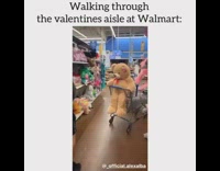 KaleSaladIG - Guy punches Valetines day teddy bear