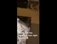 Cat hits brown dogs face bedroom flash 