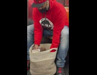 Man feeds bottle to baby pitbull on train 