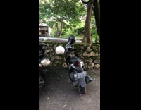 Collab PubityPets - Wild monkey sits on the motorcycle while filmer talks to it