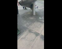 Kids Found Holding Crawfish and Chinchilla at Playground 