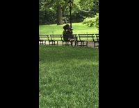 Boyfriend and girlfriend make out on bench 