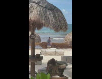 Man blue polo tiktok dance beach bed