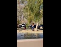 Woman butt checkered disco pants tree lake