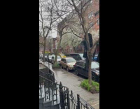 Suit garment bags hanging on a withered tree