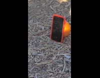 Girl orange shirt self timer pumpkin patch
