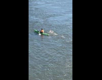 Random person swims in the East River
