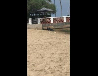 Guy open shirt parkour jump ledge beach