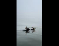 Guy rides jet ski customized as car