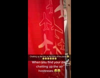 Collab PubityPets - Man in Airplane Happily Talks with Hostesses