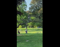 Guy stands and bounces on branch with ball on head 