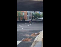 Guy on skateboard pushes stroller down street 