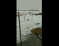 Boy tries to destroy snowman but fails 