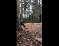 BMX mountain biker lands on front wheel and falls off green bike