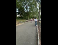 Police car passed by park with siren