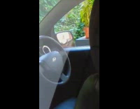 Brown bird sits car window mirror reflection 