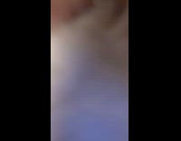 Bengal cat jump towards camera slow motion