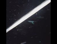 Manta ray swims over guy fish underwater 