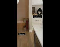 Cat jumps at other cat on kitchen counter