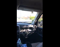 Bird tries to attack car pecks window