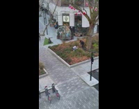 Guy jacket rap beside tree triangle lanterns