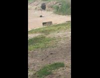 Girl bikini shore grass flash umbrella photographer