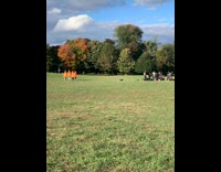 four people in a row orange cone costumes