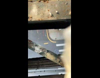 Collab WINY - Filmer peeks through hole of elevated train platform