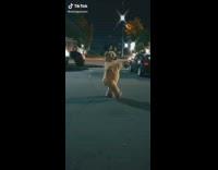 Collab BitchMP - Parking lot bear costume dance