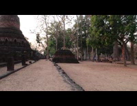 people pictures trees ancient structure