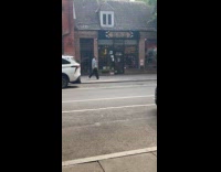 Man walking huge irish wolfhound dog