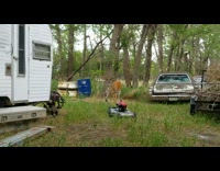 Deer wandered near the RV of the filmer 