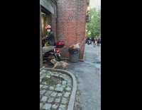 Guy with a scooter moves backwards with dog following out of mens restroom 