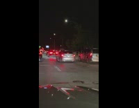 Car license plate says covid 19 