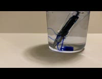 Blue pen ink leak into water glass