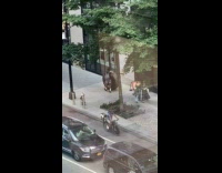 Collab winy - Man roll huge tire on street Google building