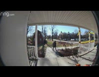 Girl leaves house and deer runs across her yard