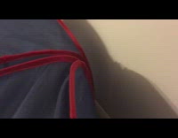 Cat inside of house tent knocks off turkey toy form top of obstacle