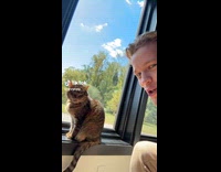 Man talks about loyalty to his cat