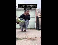 Collab Clips MPUGC - Woman feeding stray tortoise