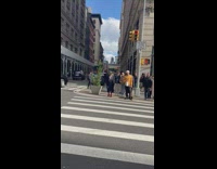 Collab WINY - Person in Frog Mask Waits for Stoplight