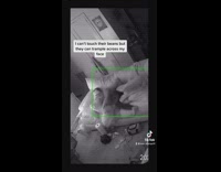 Cats run across woman sleeping on couch 