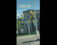 Guy shows tree that has butt plug looking items 