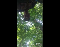 Angry beaver knocks phone out of hand 